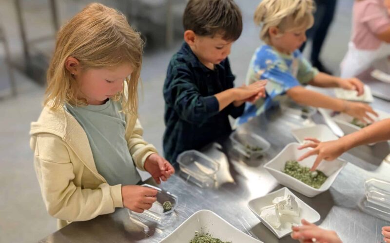 Drei kleine Kinder stehen an einem Tisch und formen während einer praktischen Kochaktion Kugeln aus einer grünen Kräutermischung in weißen Schalen.