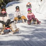 Vier Personen fahren mit Helmen und Winterkleidung auf Holzschlitten einen verschneiten, von Bäumen gesäumten Weg hinunter.