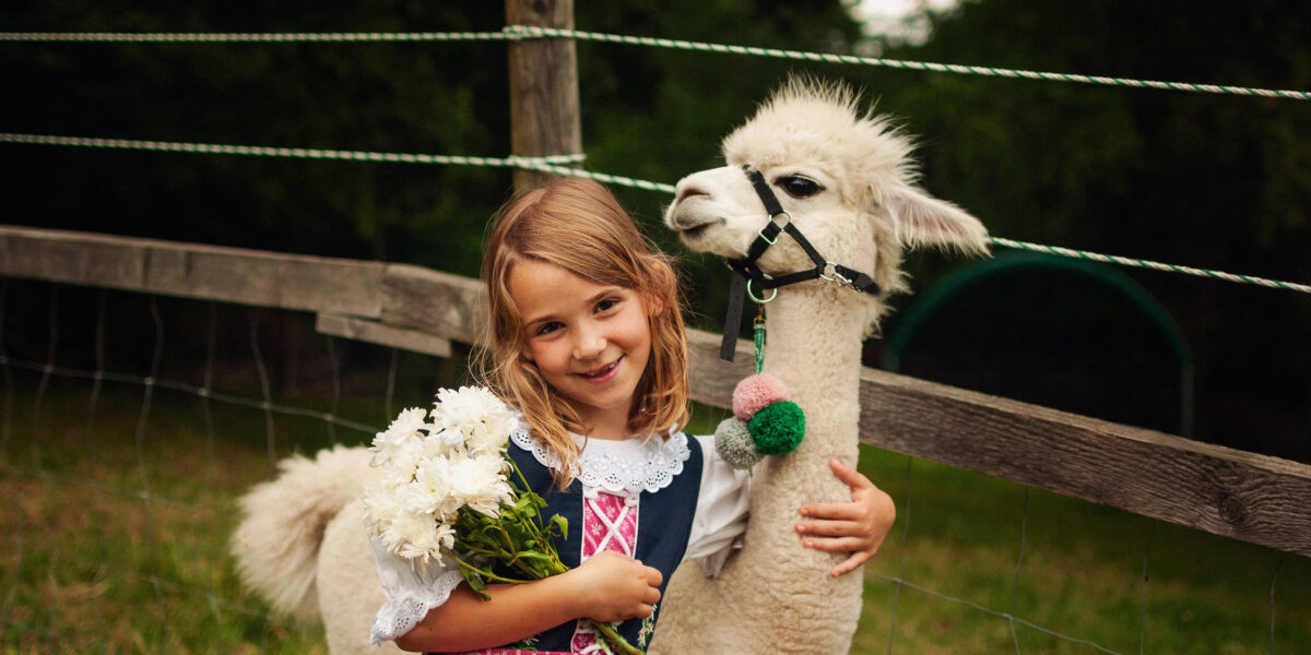 Ein junges Mädchen in einem rosa Kleid hält weiße Blumen in den Händen und umarmt ein weißes Alpaka; sie steht neben einem Holzzaun in einer grasbewachsenen Landschaft im Freien.