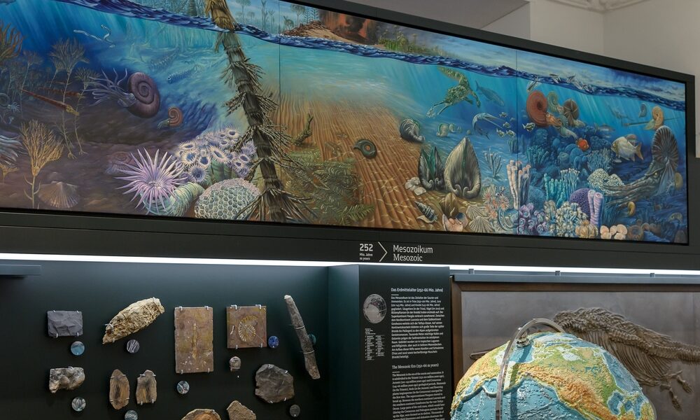 Darstellung von Meereslebewesen aus dem Mesozoikum über einer Museumsausstellung mit Fossilien, Gesteinen und einem Modell der Erde.