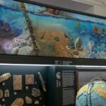 Darstellung von Meereslebewesen aus dem Mesozoikum über einer Museumsausstellung mit Fossilien, Gesteinen und einem Modell der Erde.