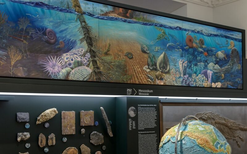 Darstellung von Meereslebewesen aus dem Mesozoikum über einer Museumsausstellung mit Fossilien, Gesteinen und einem Modell der Erde.