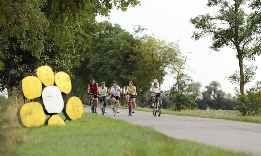 Fünf Personen fahren mit dem Fahrrad auf einer von Bäumen gesäumten Landstraße. Große gelbe und weiße runde Objekte, die wie eine Blume angeordnet sind, sind auf der linken Seite der Straße zu sehen.