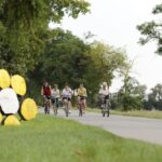 Fünf Personen fahren mit dem Fahrrad auf einer von Bäumen gesäumten Landstraße. Große gelbe und weiße runde Objekte, die wie eine Blume angeordnet sind, sind auf der linken Seite der Straße zu sehen.