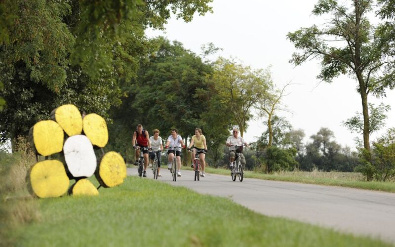 Fünf Personen fahren mit dem Fahrrad auf einer von Bäumen gesäumten Landstraße. Große gelbe und weiße runde Objekte, die wie eine Blume angeordnet sind, sind auf der linken Seite der Straße zu sehen.
