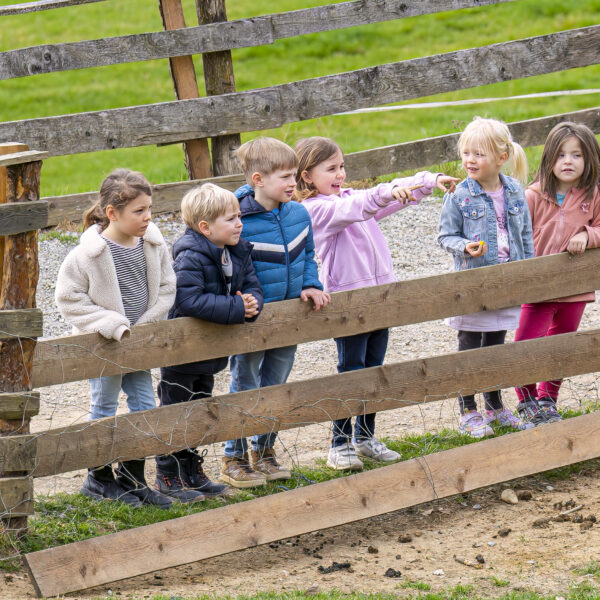 Sechs kleine Kinder stehen draußen an einem Holzzaun. Ein Kind zeigt nach vorne, während die anderen in dieselbe Richtung blicken. Im Hintergrund sind Gras und Kies zu sehen.