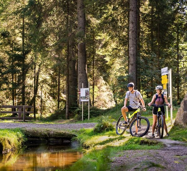 Zwei Radfahrer mit Helmen machen auf einem Waldweg neben einem kleinen Bach eine Pause, umgeben von hohen Bäumen und Wegweisern.
