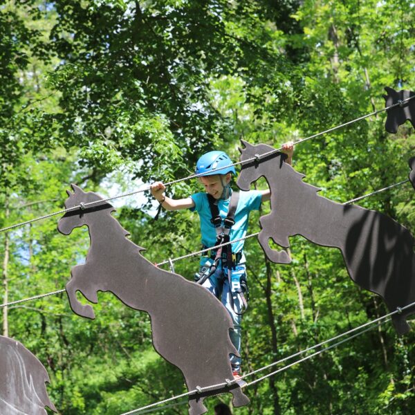 Ein Kind, das einen Helm und einen Klettergurt trägt, überquert in einem von Bäumen umgebenen Outdoor-Abenteuerpark eine Seilbrücke, die aus pferdeförmigen Ausschnitten besteht.