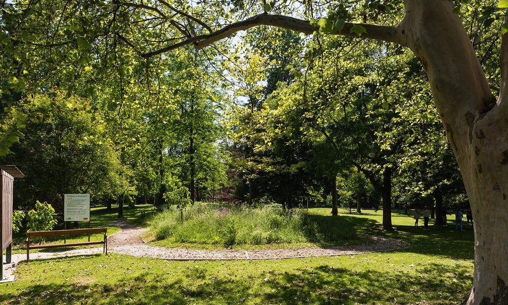 Ein sonnenbeschienener Park mit einem Kiesweg, der sich um einen grasbewachsenen, kreisförmigen Bereich windet, umgeben von hohen Bäumen und einem Schild auf der linken Seite.