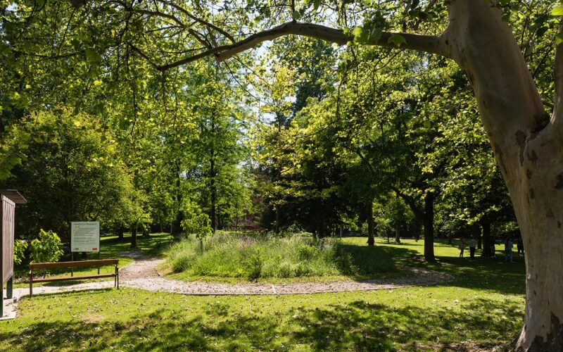 Ein sonnenbeschienener Park mit einem Kiesweg, der sich um einen grasbewachsenen, kreisförmigen Bereich windet, umgeben von hohen Bäumen und einem Schild auf der linken Seite.