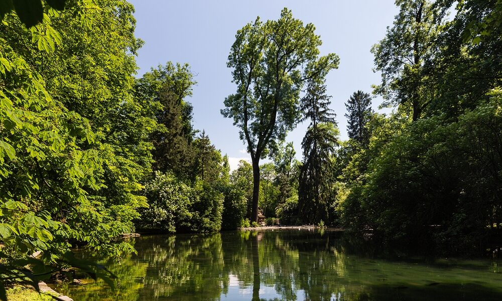 Ein ruhiger, von dichten grünen Bäumen umgebener Teich spiegelt an einem sonnigen Tag das Blau des Himmels und des Laubes wider.