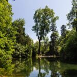 Ein ruhiger, von dichten grünen Bäumen umgebener Teich spiegelt an einem sonnigen Tag das Blau des Himmels und des Laubes wider.