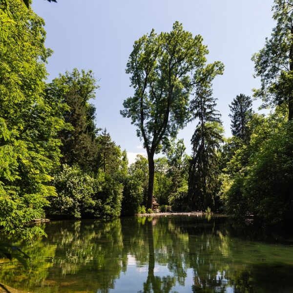 Ein ruhiger, von dichten grünen Bäumen umgebener Teich spiegelt an einem sonnigen Tag das Blau des Himmels und des Laubes wider.