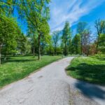 Ein gepflasterter Weg schlängelt sich durch einen grünen Park mit vereinzelten Bäumen unter einem strahlend blauen Himmel.