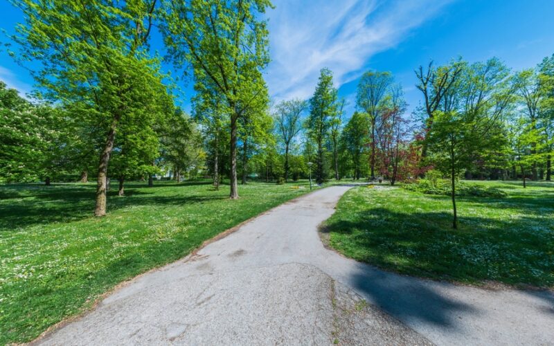 Ein gepflasterter Weg schlängelt sich durch einen grünen Park mit vereinzelten Bäumen unter einem strahlend blauen Himmel.