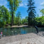 Zwei Erwachsene und ein Kind stehen an einem von Bäumen umgebenen Teich und beobachten an einem sonnigen Tag Enten und andere Vögel.