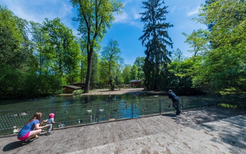 Zwei Erwachsene und ein Kind stehen an einem von Bäumen umgebenen Teich und beobachten an einem sonnigen Tag Enten und andere Vögel.