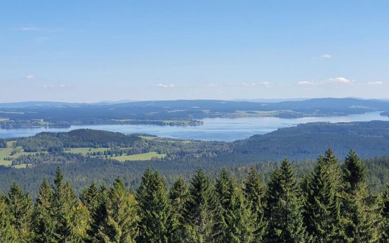 Ein Panoramablick auf einen Wald mit dichten immergrünen Bäumen im Vordergrund, sanften Hügeln und einem großen See unter einem klaren blauen Himmel.