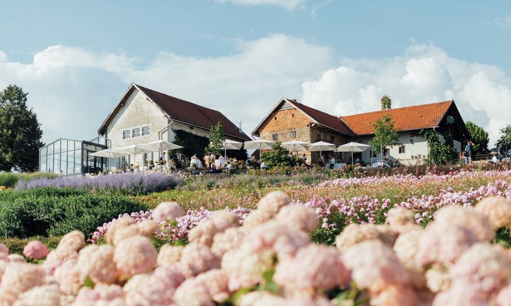 Zwei rustikale Bauernhäuser mit roten Dächern liegen hinter einem Feld mit blühenden rosa und violetten Blumen unter einem blauen Himmel mit vereinzelten Wolken.