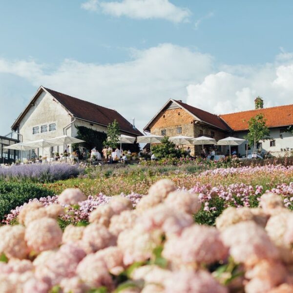 Zwei rustikale Bauernhäuser mit roten Dächern liegen hinter einem Feld mit blühenden rosa und violetten Blumen unter einem blauen Himmel mit vereinzelten Wolken.
