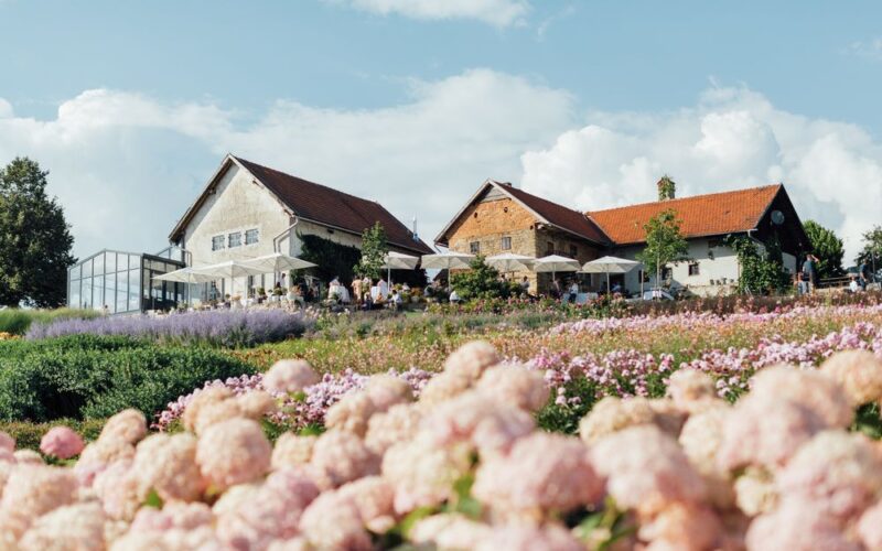 Zwei rustikale Bauernhäuser mit roten Dächern liegen hinter einem Feld mit blühenden rosa und violetten Blumen unter einem blauen Himmel mit vereinzelten Wolken.