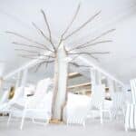 Ein kahler Baum mit dünnen Ästen steht in einem hell erleuchteten Raum zwischen weißen, schwarz gestreiften Sesseln.