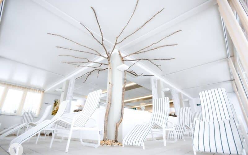 Ein kahler Baum mit dünnen Ästen steht in einem hell erleuchteten Raum zwischen weißen, schwarz gestreiften Sesseln.