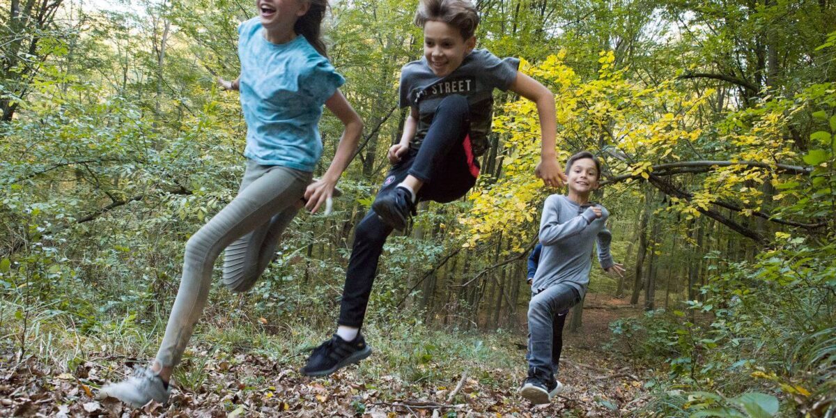 Drei Kinder rennen und springen durch ein Waldgebiet, das mit abgefallenen Blättern bedeckt ist, umgeben von grünen Bäumen und Tageslicht.