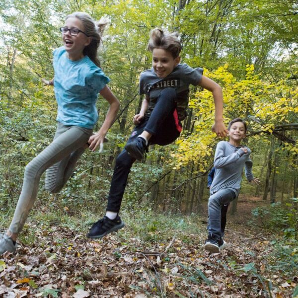 Drei Kinder rennen und springen durch ein Waldgebiet, das mit abgefallenen Blättern bedeckt ist, umgeben von grünen Bäumen und Tageslicht.