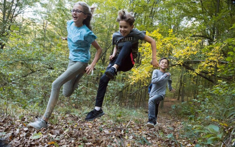 Drei Kinder rennen und springen durch ein Waldgebiet, das mit abgefallenen Blättern bedeckt ist, umgeben von grünen Bäumen und Tageslicht.