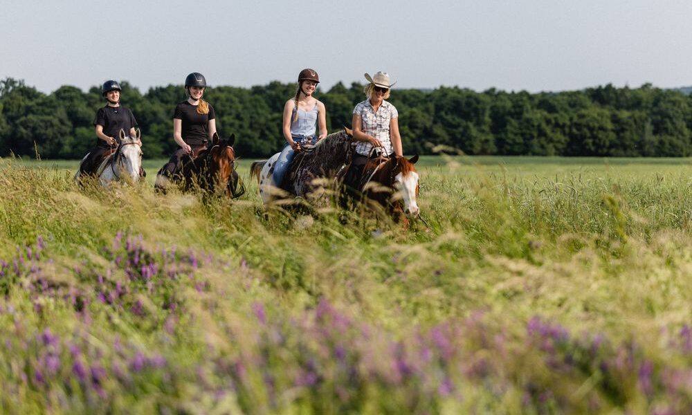 Vier Personen mit Helmen und Freizeitkleidung reiten auf Pferden durch ein grasbewachsenes Feld mit Wildblumen und Bäumen im Hintergrund.