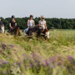 Vier Personen mit Helmen und Freizeitkleidung reiten auf Pferden durch ein grasbewachsenes Feld mit Wildblumen und Bäumen im Hintergrund.