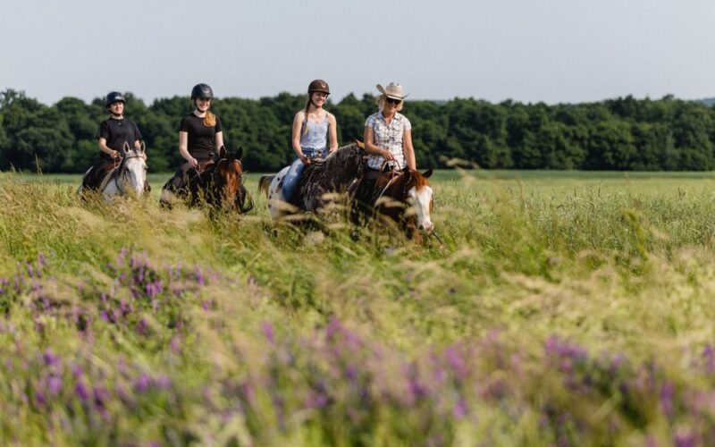 Vier Personen mit Helmen und Freizeitkleidung reiten auf Pferden durch ein grasbewachsenes Feld mit Wildblumen und Bäumen im Hintergrund.