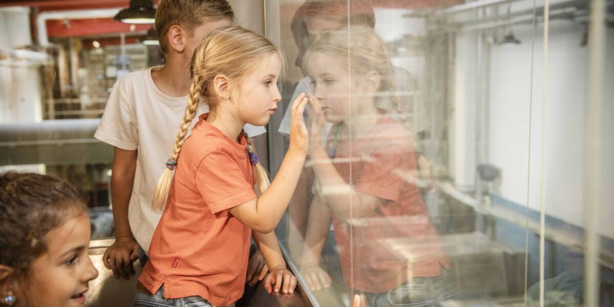 Drei Kinder schauen durch ein Glasfenster; ein Mädchen berührt das Glas, während die anderen etwas auf der anderen Seite beobachten. Innenaufnahme in einer industriellen oder pädagogischen Umgebung.