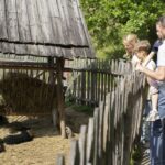 Eine Familie steht an einem Holzzaun und beobachtet Schafe, die sich unter einem Holzunterstand auf einem Bauernhof ausruhen.