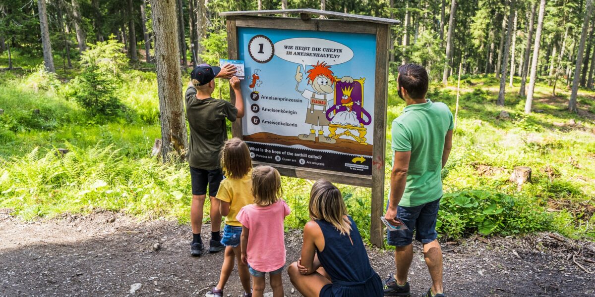 Eine fünfköpfige Familie, darunter drei Kinder, steht auf einem Waldweg und liest ein illustriertes Informationsschild über Tiere.
