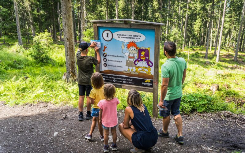 Eine fünfköpfige Familie, darunter drei Kinder, steht auf einem Waldweg und liest ein illustriertes Informationsschild über Tiere.