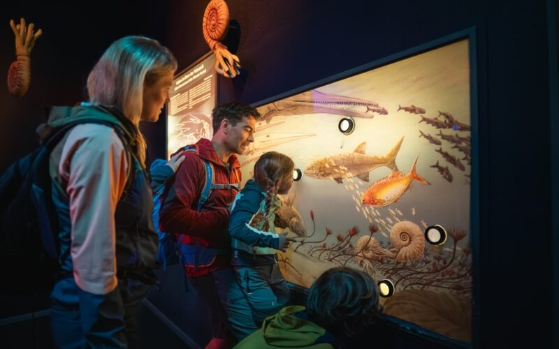 Eine Familie betrachtet eine beleuchtete Unterwasserausstellung mit prähistorischen Meerestieren in einer Museumsausstellung.