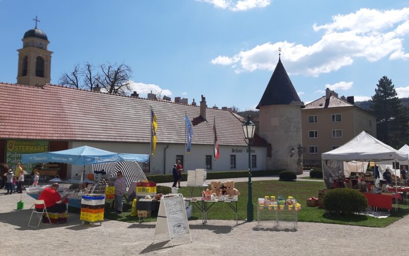 Open-Air-Markt mit mehreren Ständen und Zelten auf einem Stadtplatz, mit einem Kirchturm und historischen Gebäuden im Hintergrund unter einem teilweise bewölkten Himmel.