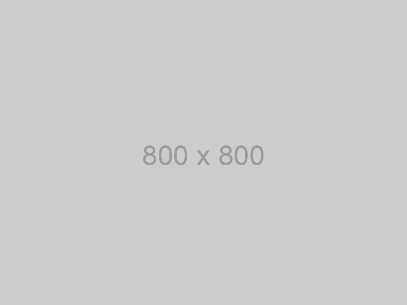 Ein einfaches graues Quadrat mit dem Text „800 x 800“ in der Mitte, der die Bildabmessungen angibt.