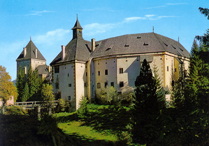 Eine große Steinburg mit steilem Schieferdach, Türmen und Bogenfenstern, umgeben von Bäumen und Grün unter einem klaren blauen Himmel.