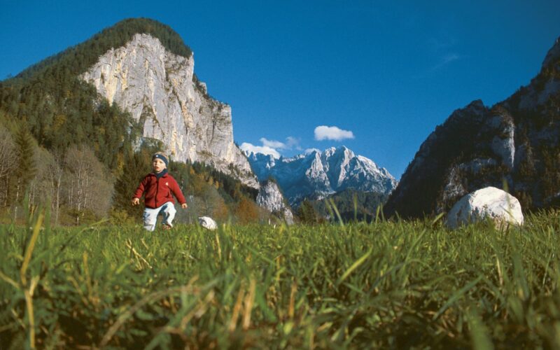 Ein kleines Kind in einer roten Jacke geht durch hohes Gras in einem Bergtal, mit felsigen Klippen und schneebedeckten Gipfeln im Hintergrund unter einem klaren blauen Himmel.