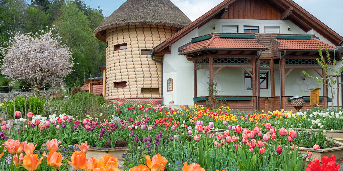 Ein Haus mit einem strohgedeckten Rundturm steht hinter farbenfrohen Tulpenbeeten in voller Blüte unter einem teilweise bewölkten Himmel.