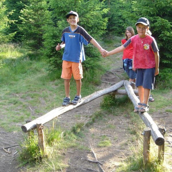 Zwei Jungen stehen händchenhaltend auf einem V-förmigen hölzernen Schwebebalken im Freien, während ein Mädchen hinter ihnen in der Nähe eines Waldes auf dem Boden steht.