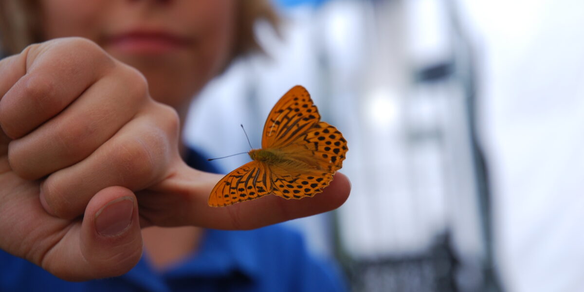 Ein Kind streckt seine Hand aus, auf der ein orange-schwarzer Schmetterling sitzt.