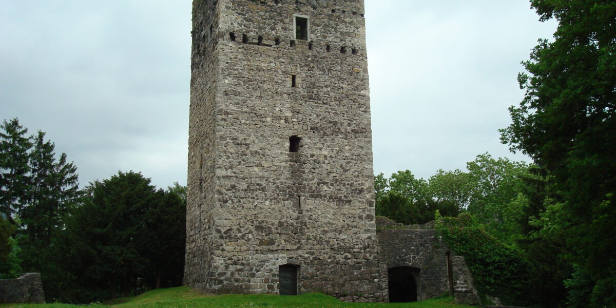 Ein hoher, rechteckiger Steinturm mit kleinen Fenstern, umgeben von Gras und Bäumen unter einem bewölkten Himmel.