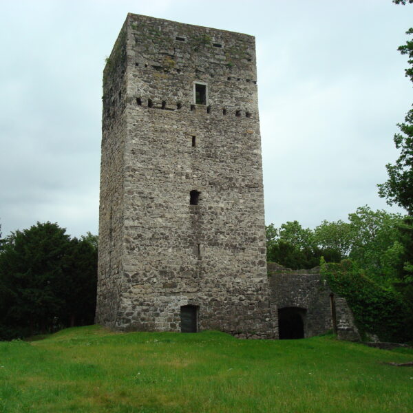 Ein hoher, rechteckiger Steinturm mit kleinen Fenstern, umgeben von Gras und Bäumen unter einem bewölkten Himmel.