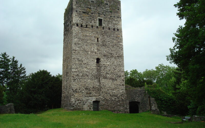 Ein hoher, rechteckiger Steinturm mit kleinen Fenstern, umgeben von Gras und Bäumen unter einem bewölkten Himmel.