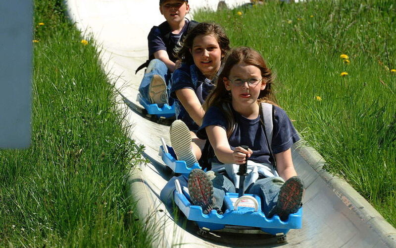 Drei Kinder fahren an einem sonnigen Tag mit einzelnen blauen Wagen eine Rodelbahn im Freien hinunter, umgeben von grünem Gras und gelben Blumen.