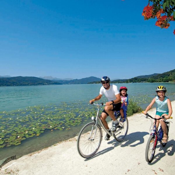 Zwei Erwachsene und ein Kind fahren mit dem Fahrrad auf einem Seeuferweg unter blauem Himmel, mit Bergen und Seerosen im Hintergrund.